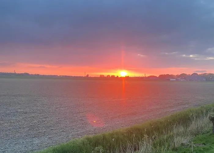 Bed and breakfast The White House - Gehele 3*