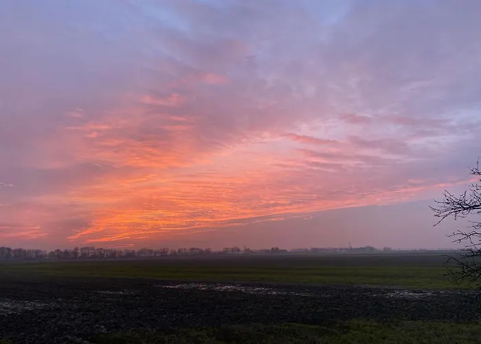 The White House - Gehele Bed and breakfast Klaaswaal