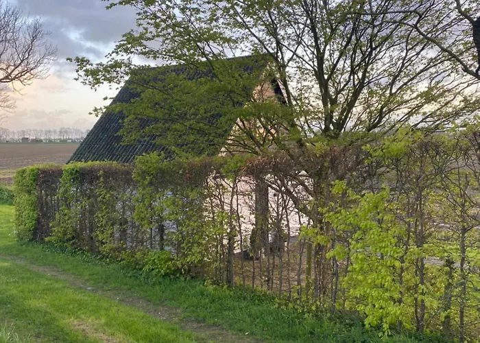 Bed & Breakfast The White House - Gehele