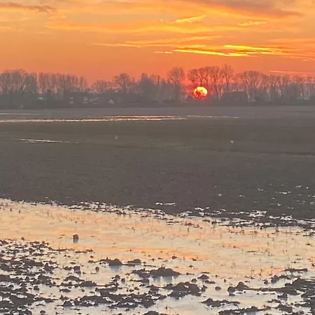 The White House - Gehele 3*