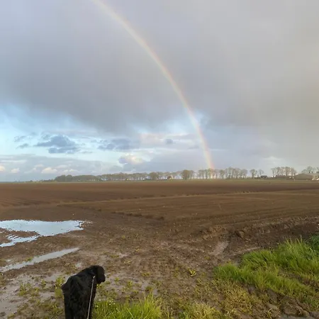 ベッド・アンド・ブレックファスト The White House - Gehele 3*