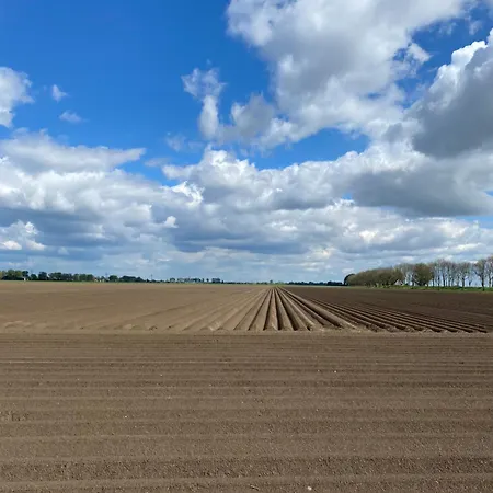 The White House - Gehele 3*