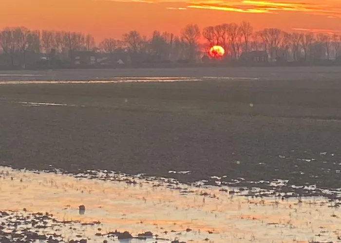 The White House - Gehele 3*