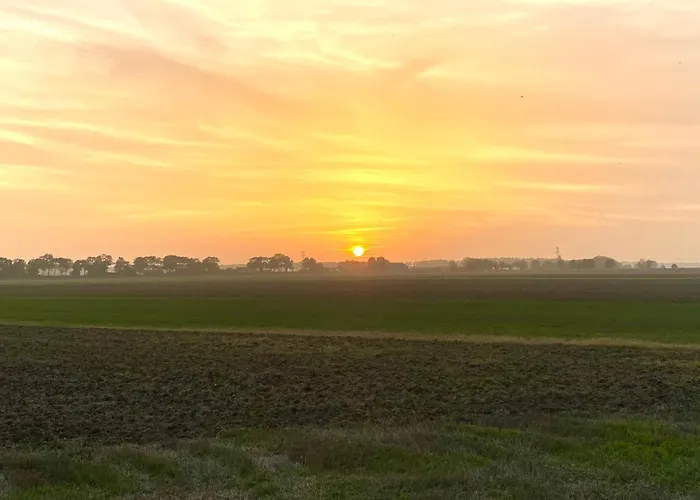 Oda ve Kahvaltı The White House - Gehele