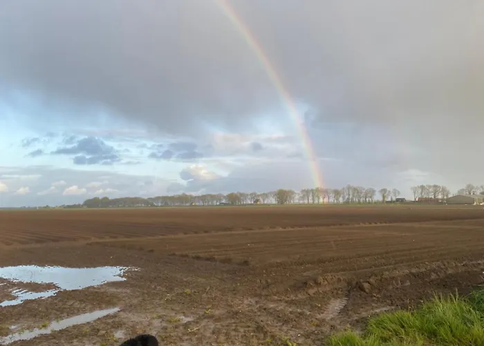 Oda ve Kahvaltı The White House - Gehele 3*