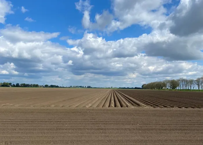 The White House - Gehele 3*